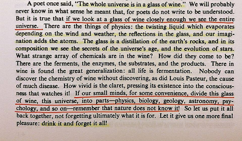 bicchiere di vino Feynman